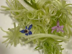 -锦江宾馆-花园餐厅