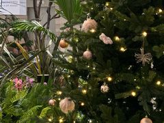 -海底捞火锅(海宁路店)