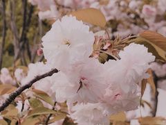 -无锡梅园公园