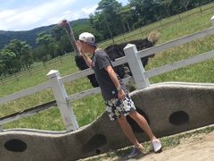 -瑞穗牧场