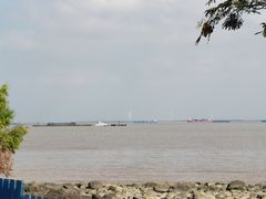 -上海吴淞炮台湾国家湿地公园