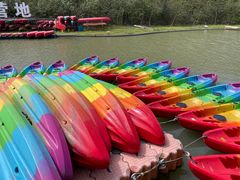 -上海海湾国家森林公园