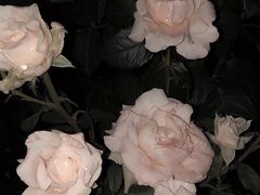 -邻几便利店(新城国际店)