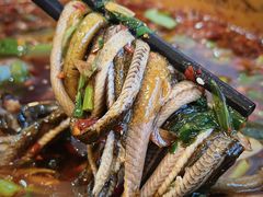 -乐山第一家临江鳝丝(茶坊路店)