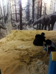 -恐龙探索乐园(磁器口店)