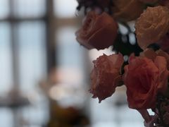 -君来湖滨饭店·渔餐厅