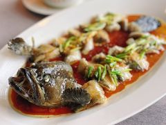 石斑鱼-三利音·东方司宴(外滩店)