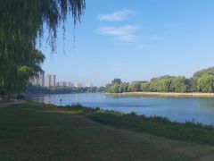 -沙澧河风景区
