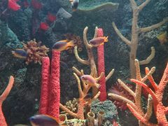 -沈阳海洋探索中心