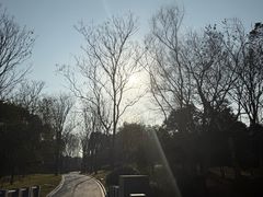 -蠡湖大桥公园