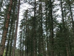 -硗碛藏寨·神木垒景区