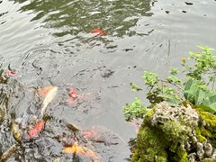 -成都杜甫草堂博物馆