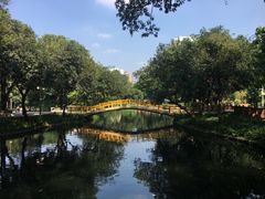 -晓港公园