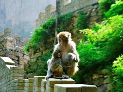 -山西通天峡景区