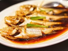 -洋房汤馆