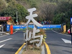 -千岛湖天屿景区