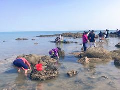 -巧克力渔家.小船海鲜胶东菜(万平口店)