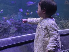 -江和美海洋公园