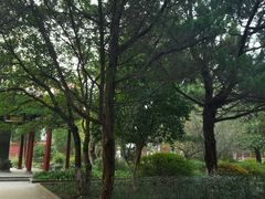 -南岳衡山风景名胜区-南岳大庙