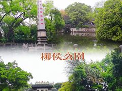 -凤张螺蛳粉·爽口粉(跃进路总店)