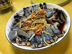 -煲来饱去冷水鱼