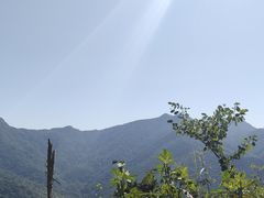 -梧桐山风景名胜区