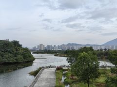 -三垟湿地