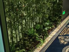 -尊足养生·影院足道·主题spa·采耳(浦江店)