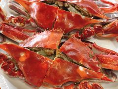 -胖大嫂渔家排档·全海景餐厅(渔村店)