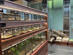 -帕帕拉兹宠物(亚洲旗舰店)