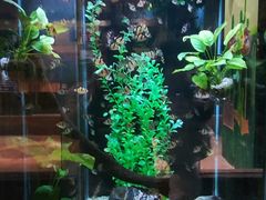 -顺德南宏海立方海洋公园