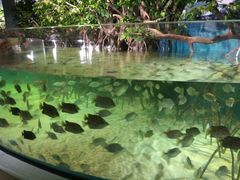 -福州罗源湾海洋世界旅游区