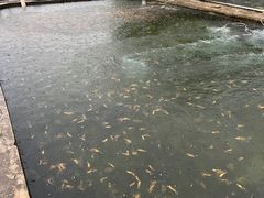 -天源渔港农庄