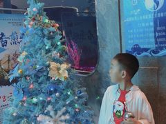 -瑞德姆美人鱼海底演艺主题餐厅(亚龙湾店)