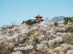 -白水寺森林公园