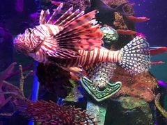 -沈阳海洋探索中心