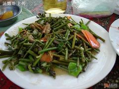 炒蕨菜-可心烤鱼