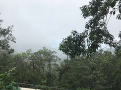 -太平山餐厅(山顶道店)