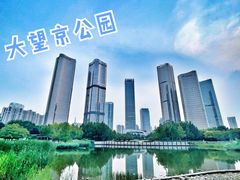 -大望京公园