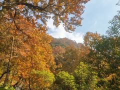 -广州市石门国家森林公园