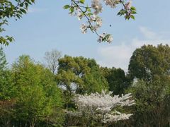 -浙江大学（紫金港校区）动物科学学院