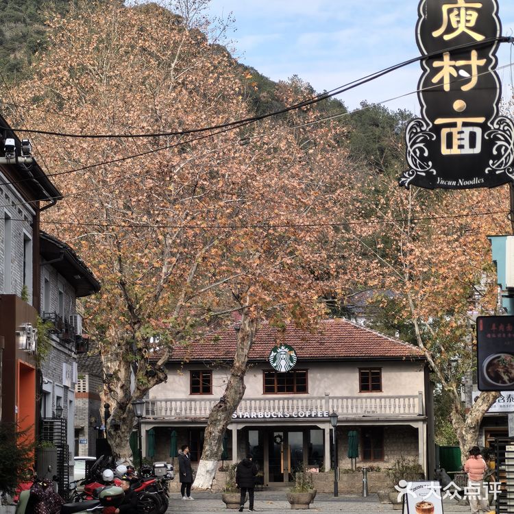 只在此山中，云深不知处