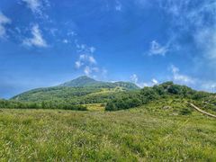 -白草畔自然风景区