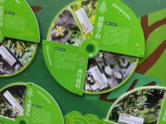 -上海佘山国家森林公园天马山园