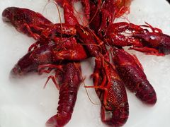 -红盔甲·小龙虾(人民广场店)