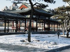 -迎泽公园