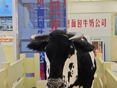 -红星前进面包牛奶公司(君太店)