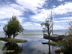 -洱海月湿地公园