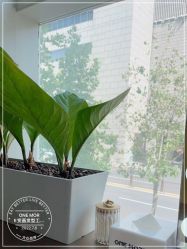 -变画·发型STUDIO