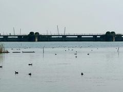 -贡湖湾湿地公园